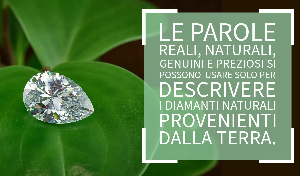 diamante naturale su una foglia